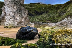 IMG_3043_Original