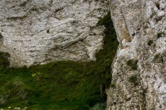 IMG_3050_Original