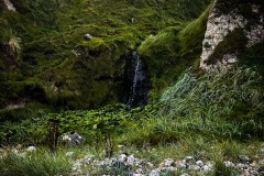 IMG_3051