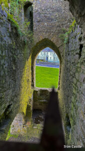 Trim Castle