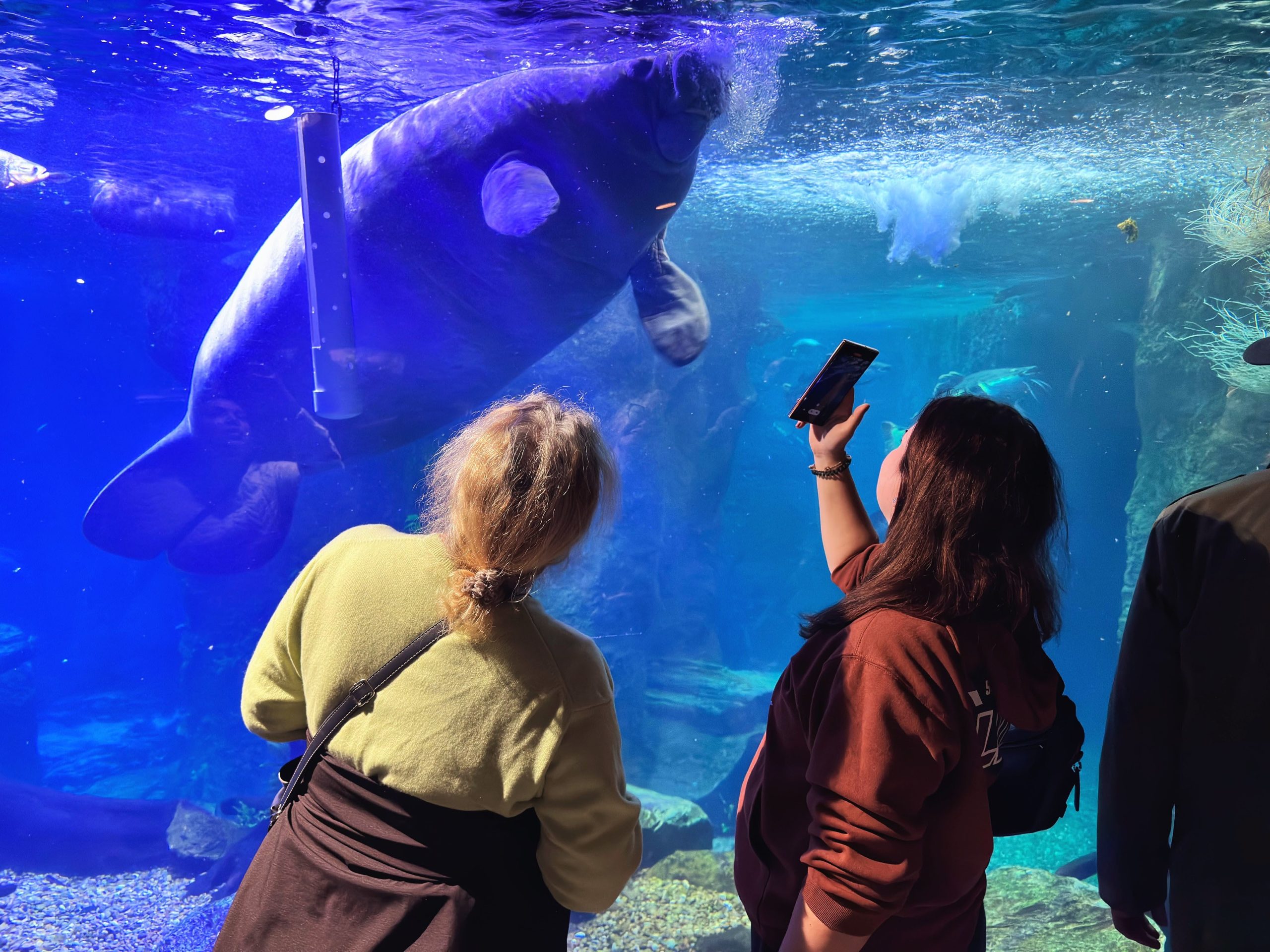 The Dallas World Aquarium – A Tropical Rainforest & Marine Adventure