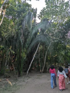 Travelers exploring Chacchoben ruins