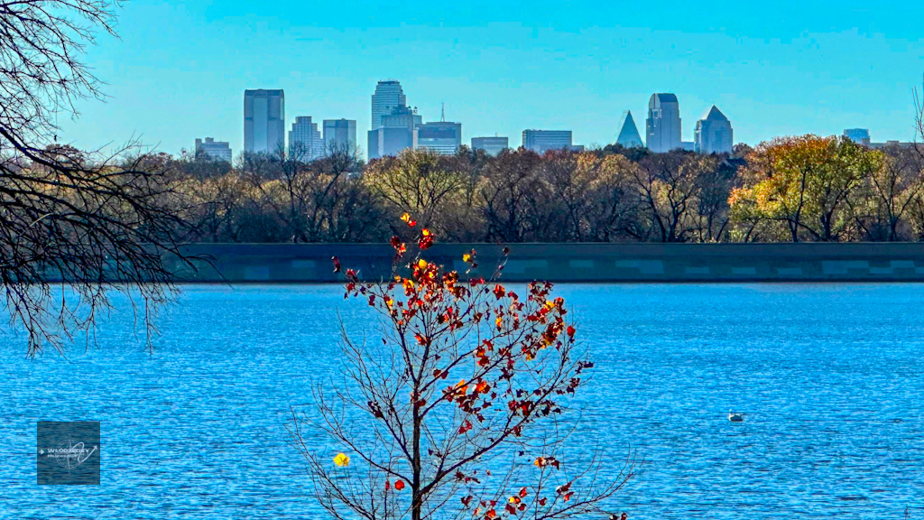 Panoramic view of White Rock Lake with the Dallas skyline in the distance White Rock Lake view with Dallas skyline from Dallas Arboretum