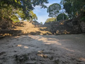 Roślinność dżungli górująca nad ruinami Majów