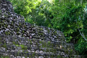 Roślinność dżungli górująca nad ruinami Majów