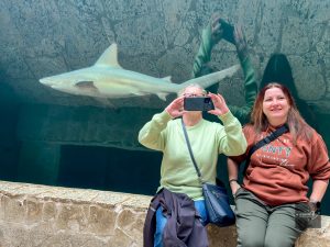 Shark swimming behind visitors at the Dallas World Aquarium marine exhibit