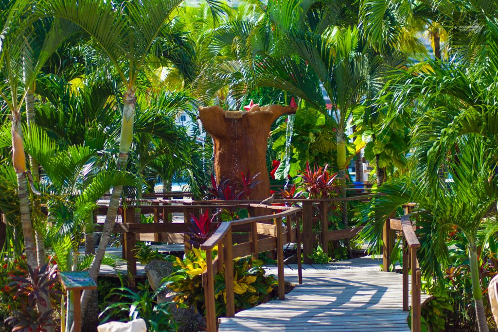 Cozumel Island, Strefa portowa