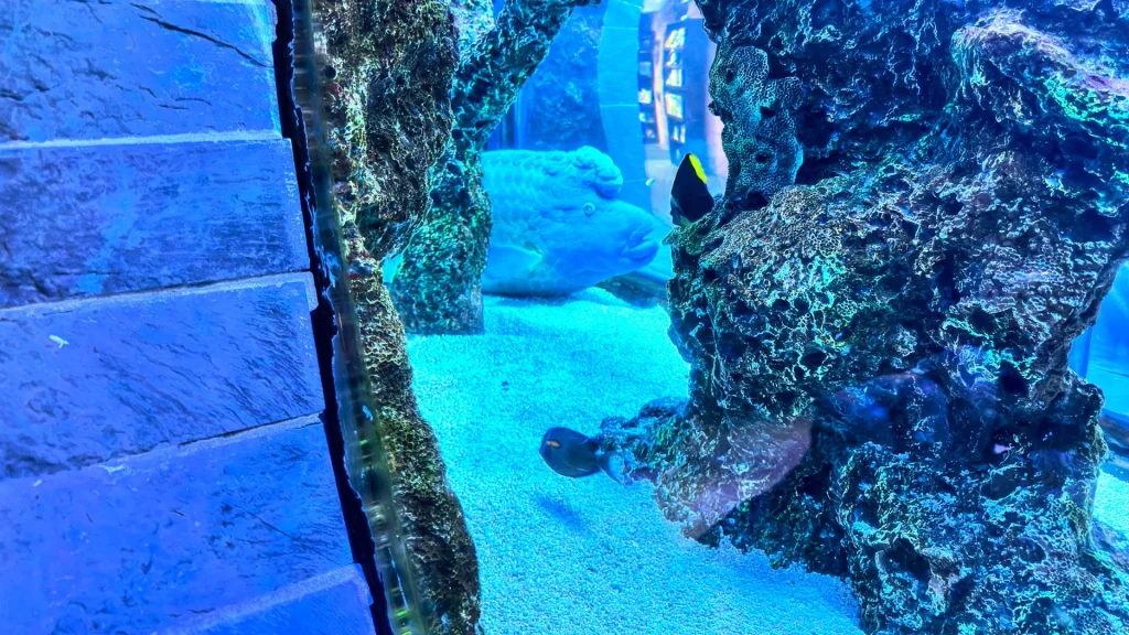 Dallas World Aquarium