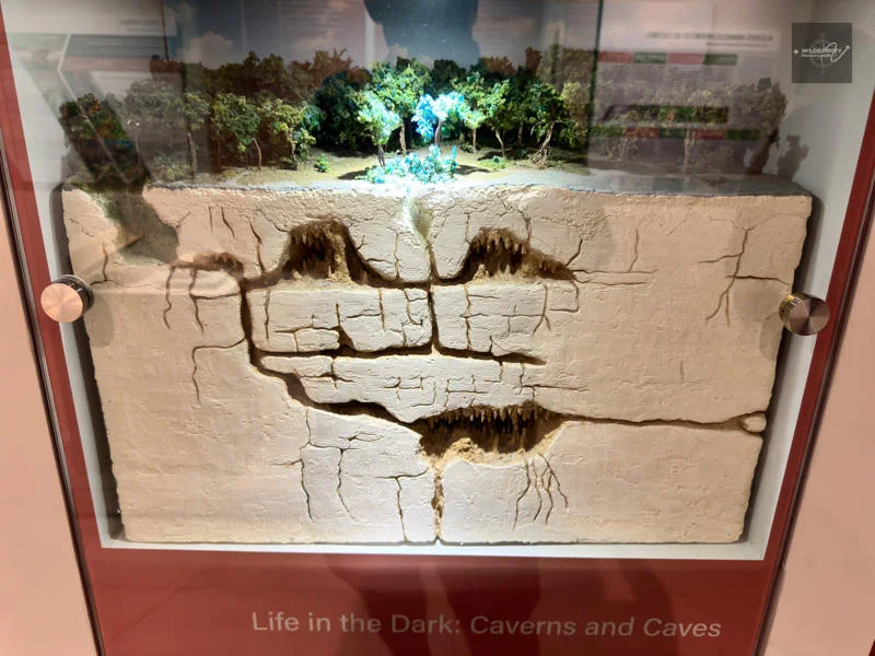 Model przekroju geologicznego wyspy.