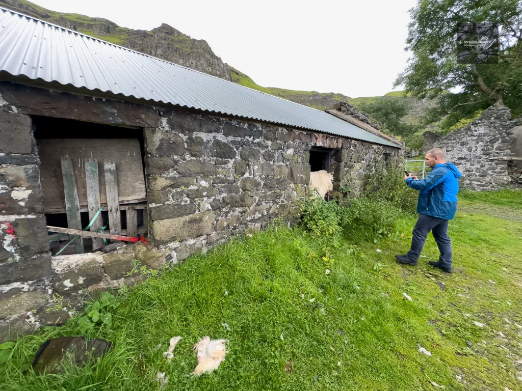 Welcome to the Hidden Village of Galboly.