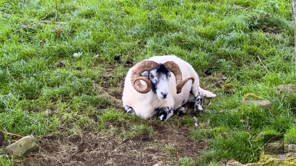 A security guard at the exit to the trail above the village