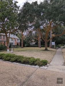 Podsumowanie podróży do USA i Meksyku