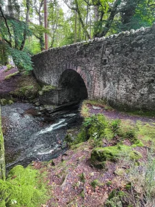 Tollymore Forest Park
