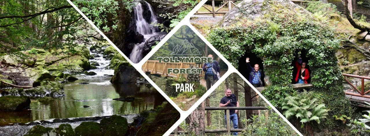 Tollymore Forest Park