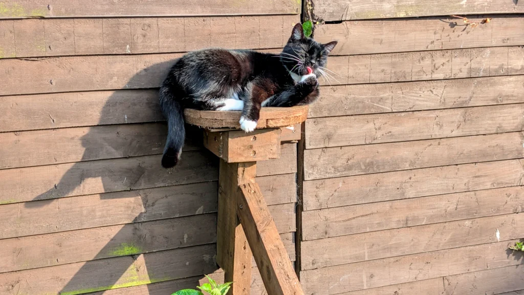 Travel Guide, Włóczęgowskie Przewodniki