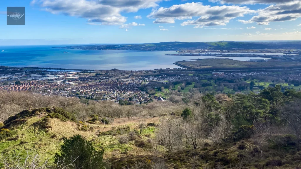 🇵🇱 Cave Hill i Belfast Castle – najlepszy widok na Belfast