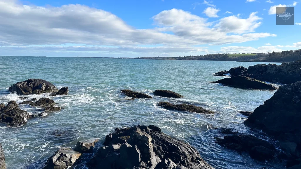 Grey Point Fort
