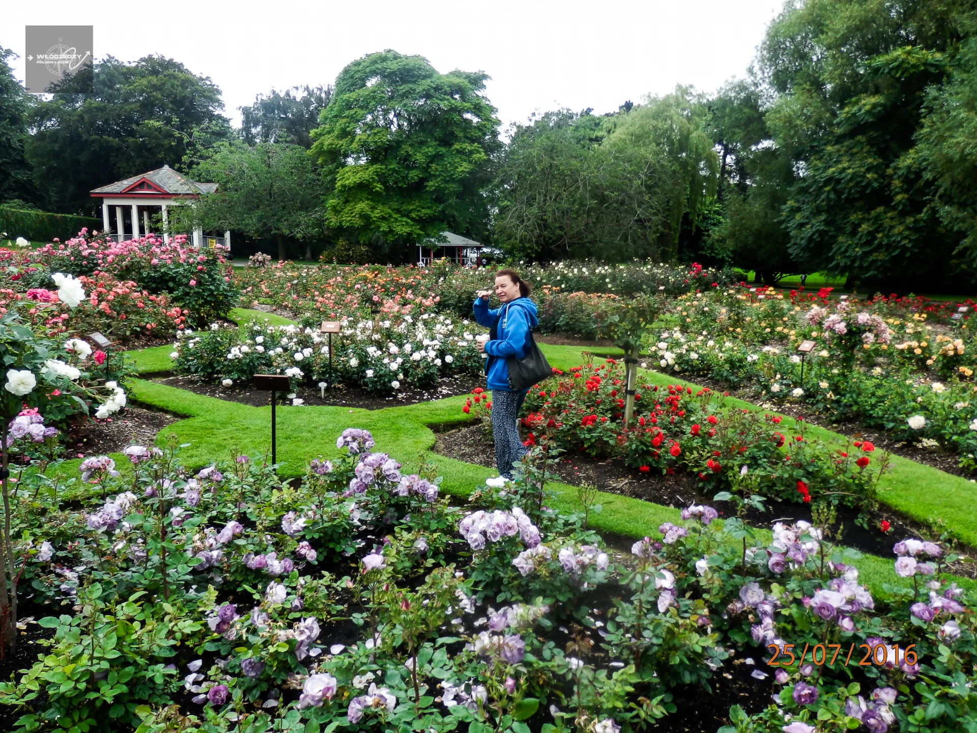 Botanic Gardens – zielona oaza Belfastu