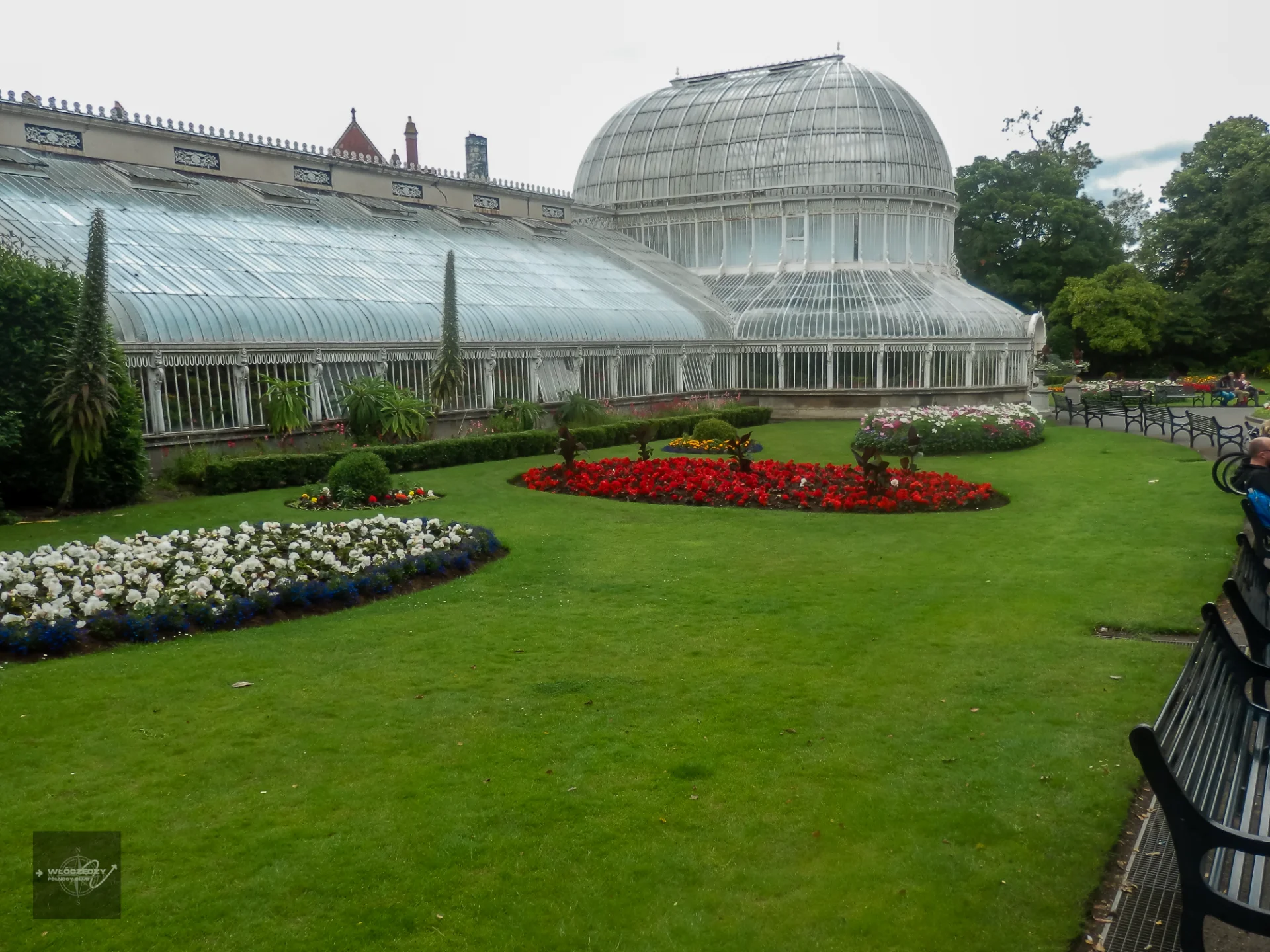 Palm House – żelazo, szkło i egzotyczne rośliny