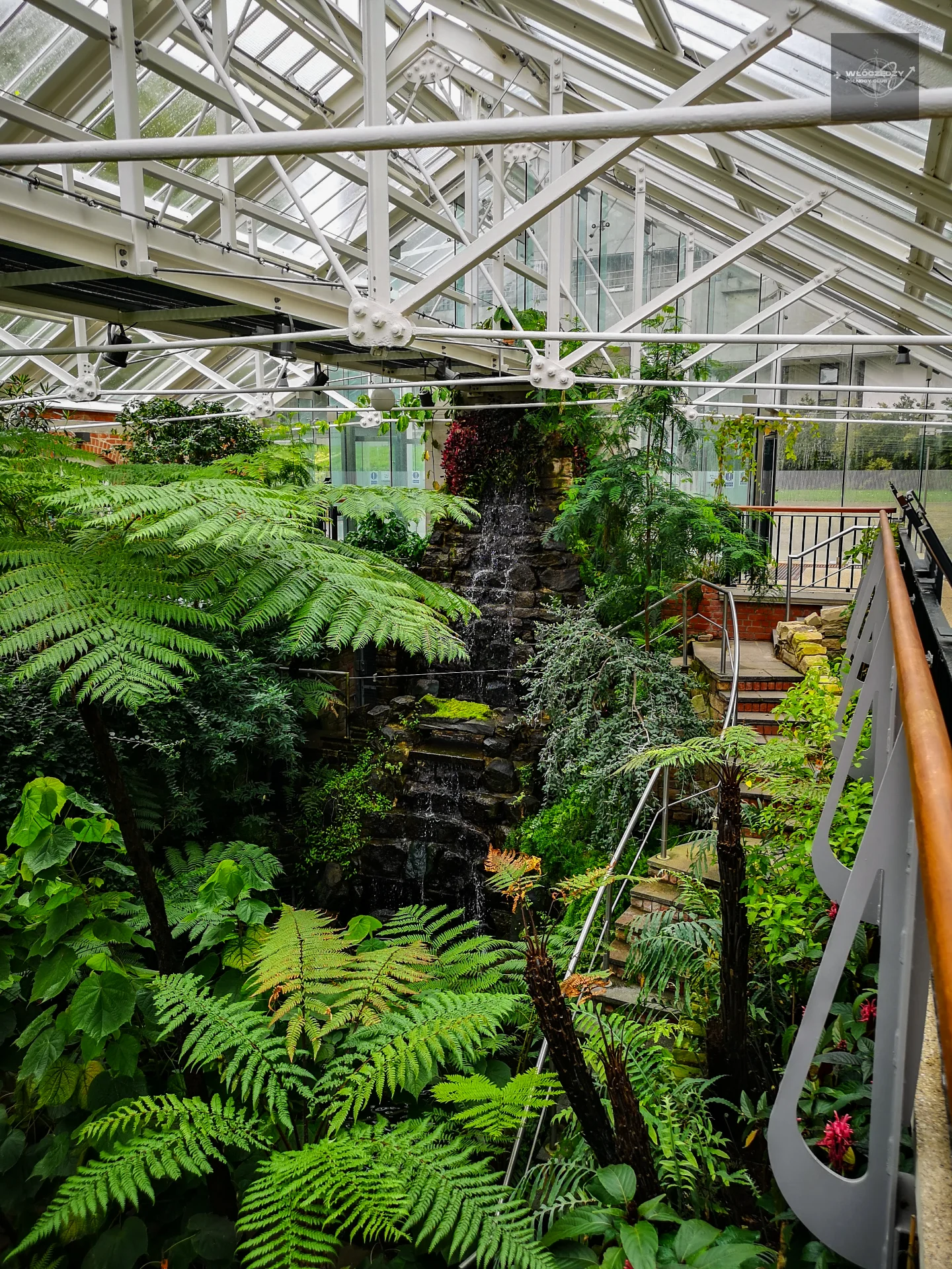 Tropical Ravine – kawałek dżungli w Irlandii Północnej