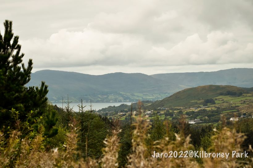 Rostrevor Forest Park