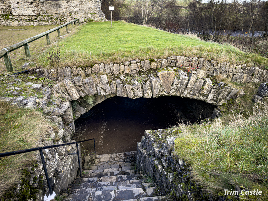 Trim Castle