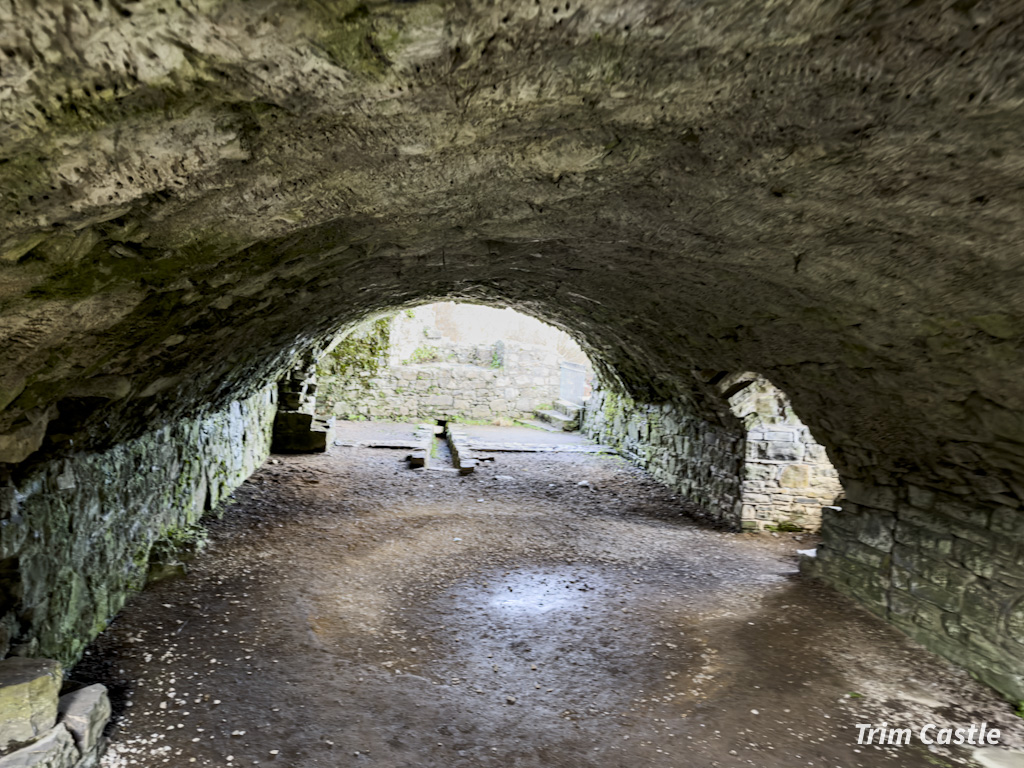 Trim Castle