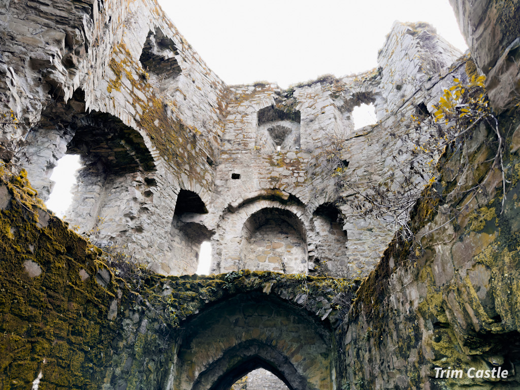 Trim Castle