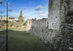 Trim Castle