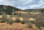 Glendalough Monastic Site