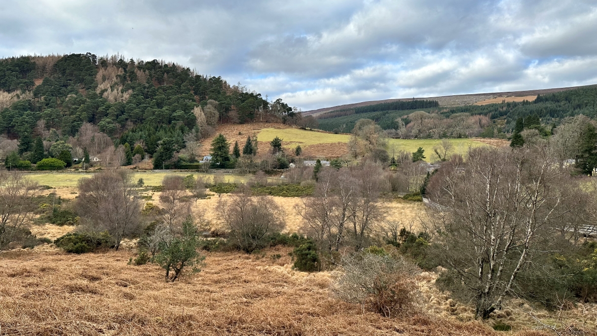 Glendalough Monastic Site