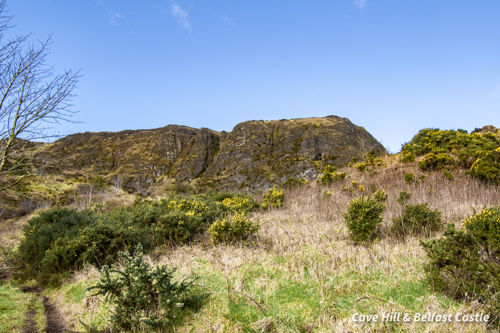 Cavehill