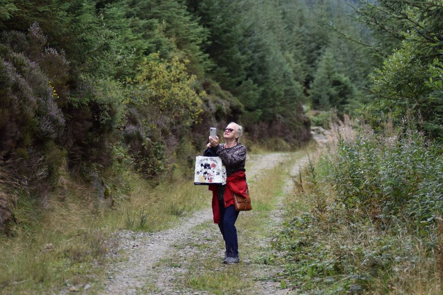 Rostrevor Forest Park